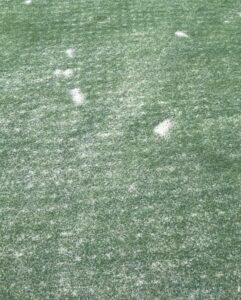 GREENS CONDITIONS AFTER RENOVATIONS