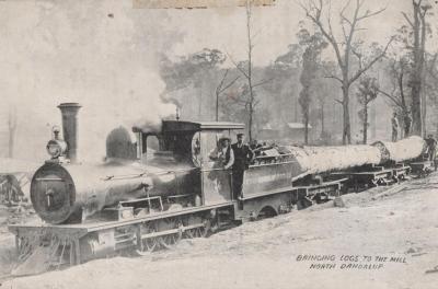 POSTCARD: WHITTAKER BROS LOG TRAIN NORTH DANDALUP C 1920