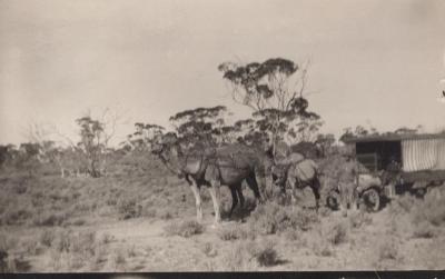 PHOTOGRAPH: OUTBACK SCENE, THELMA GREEN BEQUEST