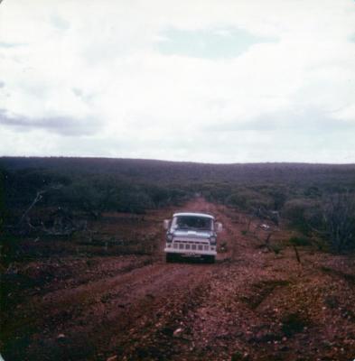 PHOTOGRAPH: FIRST SHENTON PARK SCOUT TROOP DALWALLLINU CAMP 1978