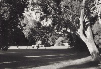 PHOTOGRAPH: RANKIN ROAD RESERVE, NATIONAL ESTATE SURVEY COLLECTION