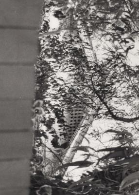 PHOTOGRAPH: UNKNOWN HOUSE BAGOT ROAD, NATIONAL ESTATE SURVEY COLLECTION