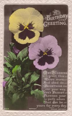 POSTCARD: 'A BIRTHDAY GREETING' YELLOW AND PURPLE FLOWER