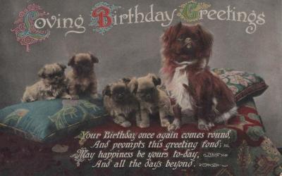 POSTCARD: DOGS (PEKINGESE), 'LOVING BIRTHDAY GREETINGS'