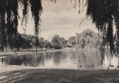 PHOTOGRAPH: LAKE JUALBUP SHENTON PARK, NATIONAL ESTATE SURVEY COLLECTION