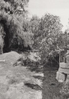 PHOTOGRAPH: OUTDOOR SCENE SUBIACO, NATIONAL ESTATE SURVEY COLLECTION