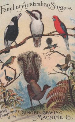 POSTCARD: AUSTRALIAN BIRDS, 'FAMILIAR AUSTRALIAN SINGERS'
