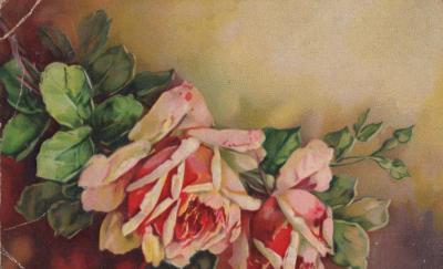 POSTCARD: TWO PALE PINK ROSES WITH GREEN LEAVES