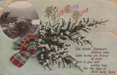 POSTCARD: 'FOR AULD LANG SYNE' SCOTTISH THISTLE AND HIGHLAND COWS