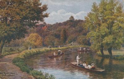 POSTCARD: LANDSCAPE SCENE, FROM ALBUM 1, THELMA GREEN COLLECTION