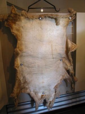 SHEEP SKIN