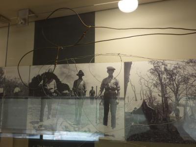 A SET OF SNARES - WIRE