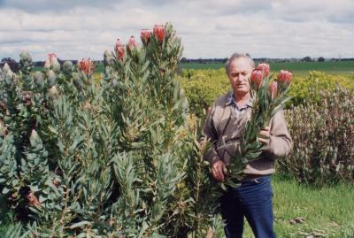 MARGARET AND JOHN BENN WITH PROTEAS