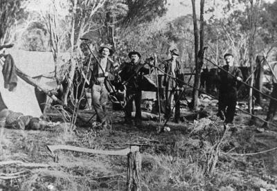 HARVESTING MALLET BARK