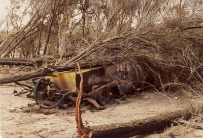 TREE ON BURNED FIRETRUCK IN AFTERMATH OF CYCLONE ALBY
