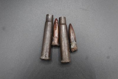 BULLET, .303 - CASE & BULLET X 2 INNOCUOUSE