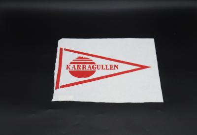 PENNANT, CONCEPT DESIGN - FOR KARRAGULLEN SCHOOL
