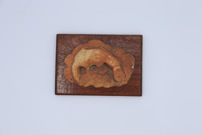 PLAQUE, PLATYPUS