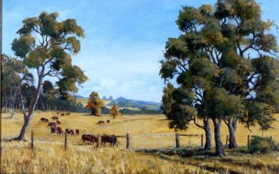 Country Scene near Whitby Falls, Mundijong