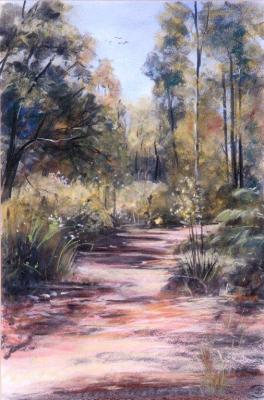 Bushwalk - Ellis Brook