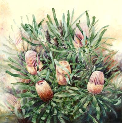 Banksia