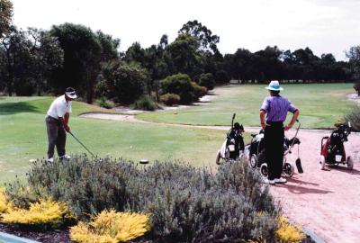 HOLE 3 TEE AND FAIRWAY MARCH 1996