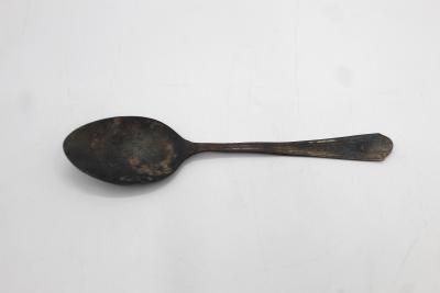 SPOON, DESERT - NICKEL STEEL