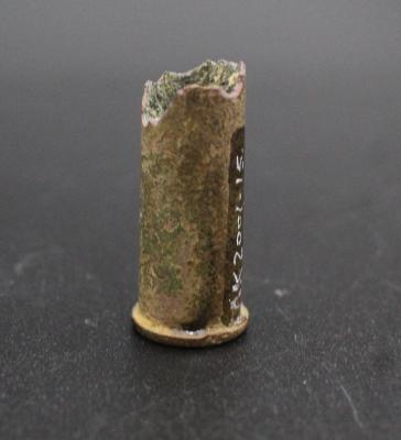 BULLET - CASE INNOCUOUSE